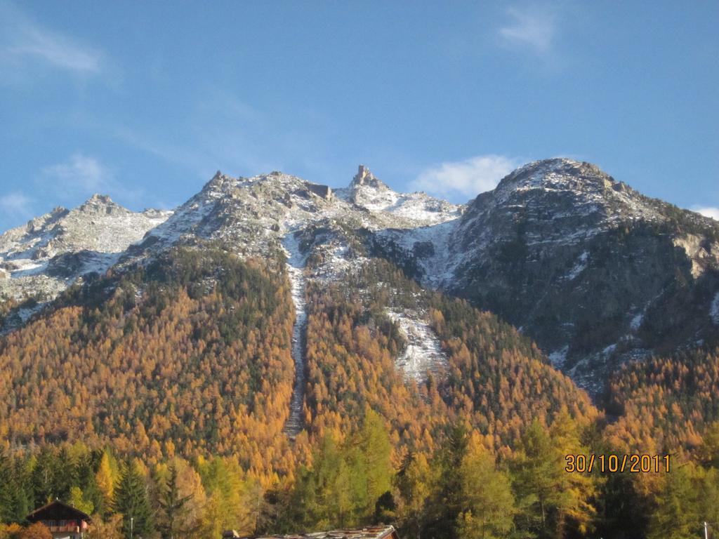 Sven & Marc Graechen, Niedergraechen Vallis Sankt Niklaus